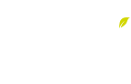 Dentist in Salford & Manchester UK - Dental at MediaCityUK