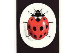 ladybird logo