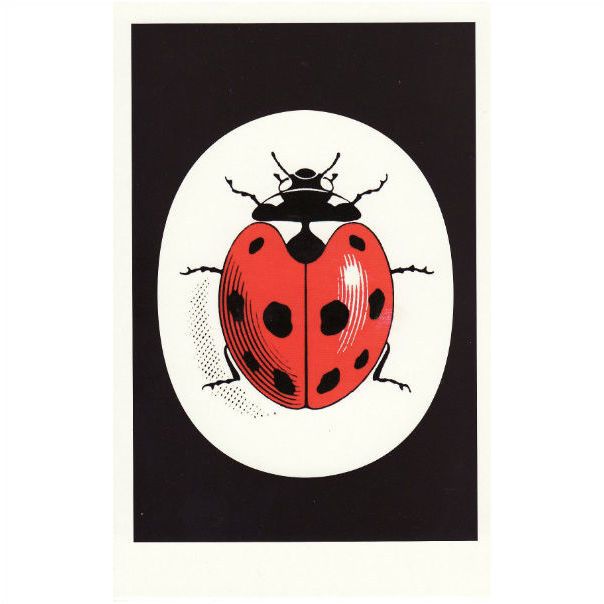ladybird logo ladybird logo