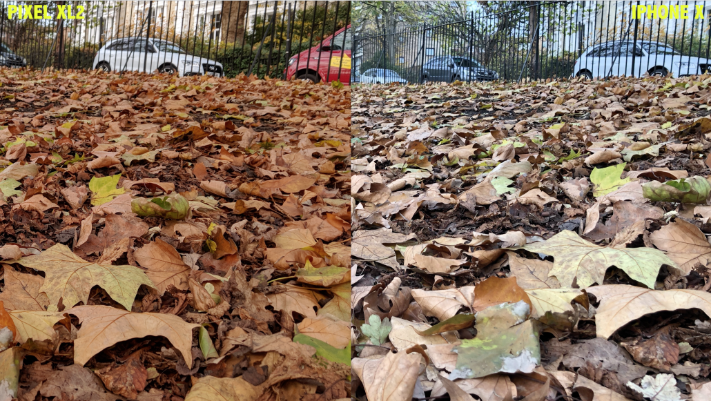 Autumnal leaves shot iPhone X vs Google Pixel 2 XL Camera 